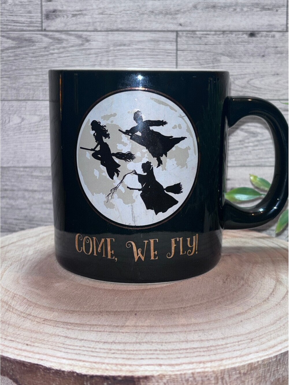 Disney Hocus Pocus Movie Mug Spirit Halloween 22oz